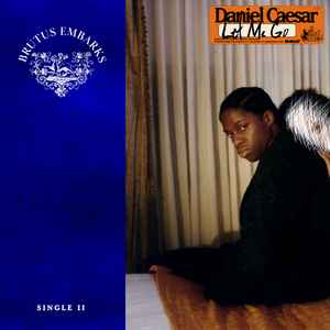 日本妞被黑人狂躁的后果
