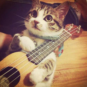 国产浪妇交视频
