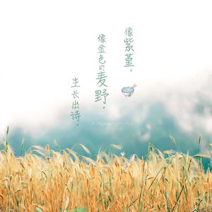 日本妞被黑人狂躁的后果
