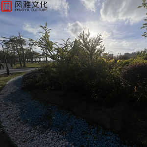 欧美精品一级二级三级久久久不卡
